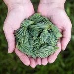 Catherine Heller Profile Picture